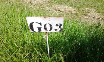 Imagem: TERRENO RESIDENCIAL em SALTO - SP, PALMEIRAS