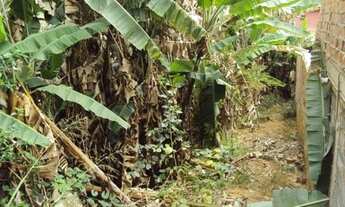 Imagem: TERRENO RESIDENCIAL em Jundiaí - SP, Quinta