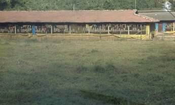 Imagem 7: SITIO para Venda Cabreuva