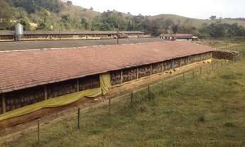 Imagem 3: SITIO para Venda Cabreuva