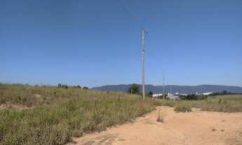 Imagem: TERRENO PARA VENDA AVENIDA DA UVA LOTEAMENTO