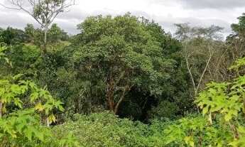 Imagem 6: TERRENO PARA VENDA ESTANCIA FIGUEIRA BRANCA JARINU - SP