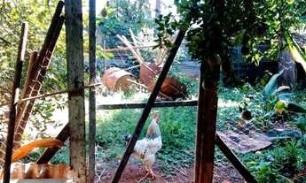 Imagem 6: CASA ANTIGA PARA REFORMA COM 598 M² AT