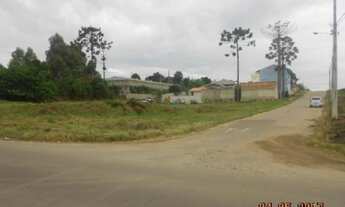 Imagem 3: TERRENOS EM ÓTIMA LOCALIZAÇÃO EM ARAUCÁRIA