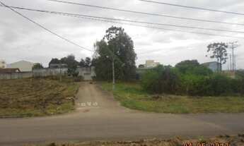 Imagem 7: TERRENOS EM ÓTIMA LOCALIZAÇÃO EM ARAUCÁRIA