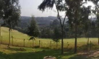 Imagem 4: 20.000,00M² NO ROÇA VELHA EM ARAUCÁRIA A 9 KM DO CENTRO E 500 METROS DO ASFALTO LIMPA 990