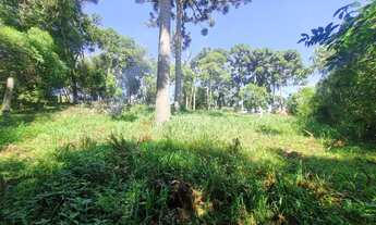 Imagem 4: ÓTIMA CHÁCARA NA LAGOA GRANDE COM 6.000M² E CASA COM 3 QUARTOS A 400 METROS DO ASFALTO POR