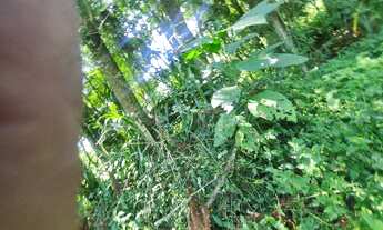 Imagem 7: ÓTIMA CHÁCARA NA LAGOA GRANDE COM 6.000M² E CASA COM 3 QUARTOS A 400 METROS DO ASFALTO POR