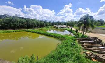 Imagem 5: ÓTIMA CHÁCARA A 9 KM DO CENTRO DA ARAUCÁRIA, A 1 KM DO ASFALTO COM 1 ALQUEIRE, COMERCIO E