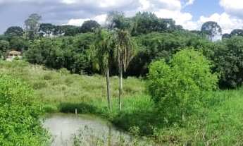 Imagem 7: ÓTIMA CHÁCARA A 9 KM DO CENTRO DA ARAUCÁRIA, A 1 KM DO ASFALTO COM 1 ALQUEIRE, COMERCIO E