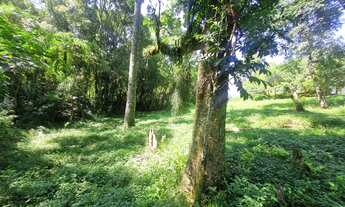 Imagem 5: ÓTIMA CHÁCARA NA LAGOA GRANDE COM 6.000M² E CASA COM 3 QUARTOS A 400 METROS DO ASFALTO POR