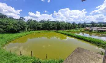 Imagem: ÓTIMA CHÁCARA A 9 KM DO CENTRO DA ARAUCÁRIA