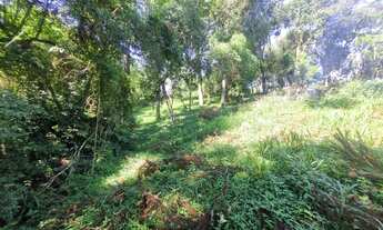 Imagem 3: ÓTIMA CHÁCARA NA LAGOA GRANDE COM 6.000M² E CASA COM 3 QUARTOS A 400 METROS DO ASFALTO POR