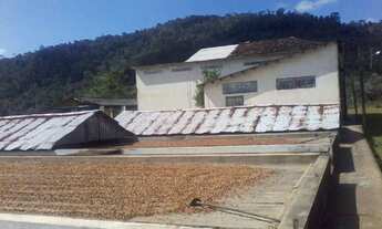 Imagem 3: Fazenda de Cacau no Sul da Bahia. Mascote - Camacã - Itabuna