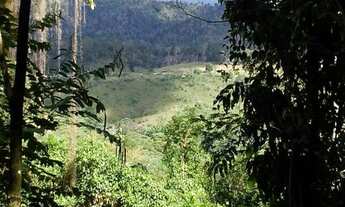 Imagem 6: Fazenda de Cacau no Sul da Bahia. Mascote - Camacã - Itabuna