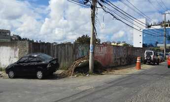 Imagem 5: Excelente terreno de esquina em Pituaçu, todo murado e com boa topografia. Boa localização
