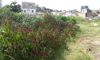 Imagem 4: Excelente terreno de esquina em Pituaçu, todo murado e com boa topografia. Boa localização
