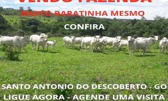 Imagem: Venda fazenda Santo Antonio do Descoberto