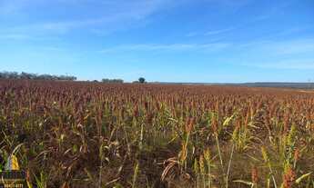 Imagem 5: Venda área cidade ocidental para loteamento