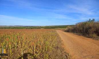 Imagem 4: Venda área cidade ocidental para loteamento
