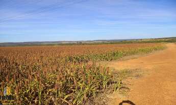 Imagem 2: Venda área cidade ocidental para loteamento