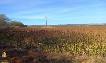 Imagem: Venda área cidade ocidental para loteamento