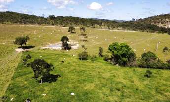Imagem 6: Venda fazenda planaltina Goias 750 hectares belíssima
