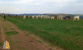 Imagem: Fazenda em Santo Antonio do Descoberto excelente