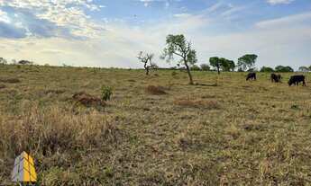 Imagem 3: Fazenda em Santo Antonio do Descoberto excelente dupla aptidão beira rio
