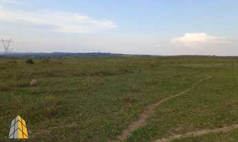 Imagem 6: Fazenda em Santo Antonio do Descoberto excelente dupla aptidão beira rio