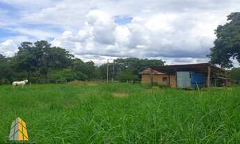Imagem 7: Venda Fazenda buritis mg escriturada muita água