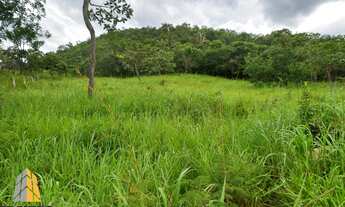 Imagem: Venda fazenda em Unai mg 210 hectares margem