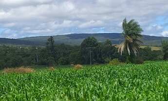 Imagem 3: Fazenda São João da Aliança GO Excelente localização