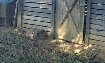 Imagem 4: Fazenda Unai MG toda formada escriturada rio na divisa 18,6 alqueirões