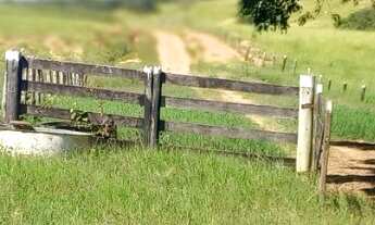 Imagem 7: Fazenda Unai MG toda formada escriturada rio na divisa 18,6 alqueirões