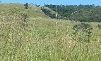 Imagem 3: Fazenda Unai MG toda formada escriturada rio na divisa 18,6 alqueirões