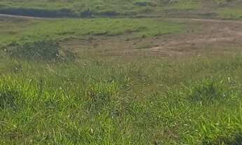 Imagem 2: Fazenda Unai MG toda formada escriturada rio na divisa 18,6 alqueirões