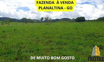 Imagem: Fazenda Escriturada de 51 Hectares à Venda