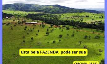 Imagem: Fazenda em Cocalzinho de Goiás - 813 Hectares