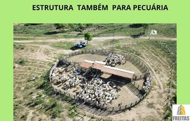 Imagem 4: Fazenda à Venda em Urucuia, MG - 4.700 Hectares com Potencial para Irrigação e Agricultura