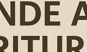 Imagem 2: Terreno 20.000 m² Escriturado à Venda em Planaltina DF ? Frente DF-230, Ideal para Empresa