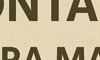 Imagem 5: Terreno 20.000 m² Escriturado à Venda em Planaltina DF ? Frente DF-230, Ideal para Empresa