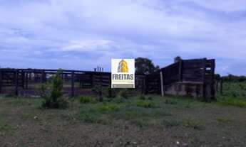 Imagem 6: Fazenda à venda em Natividade-TO com 1.186 ha Pastagens formadas, currais, água, energia