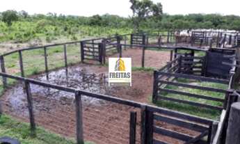 Imagem 5: Fazenda à venda em Natividade-TO com 1.186 ha Pastagens formadas, currais, água, energia