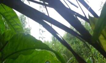 Imagem 3: 1000M² de Área Total