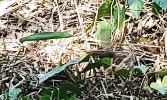 Imagem 2: 1000M² de Área Total