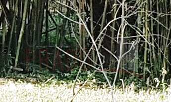 Imagem 5: 1000M² de Área Total