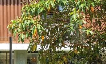 Imagem 3: 4 dormitórios, 4 suíte, 6 vagas na garagem, 516M² de Área Construída, 516M² de Área Total