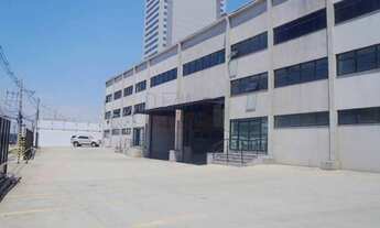 Imagem: 10 banheiro, 15 vagas na garagem, 10000M²