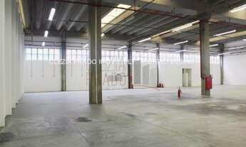 Imagem: 10 banheiro, 10 vagas na garagem, 8000M²